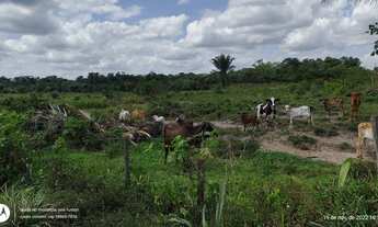 Imagem: 200 Hectares pronta e documentada sentido