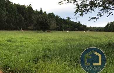 Imagem 3: FAZENDA - SÃO JOÃO DA ALIANÇA