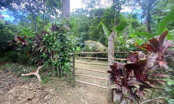 Imagem 4: Terreno à venda, 1092 m² por R$ 240.000,00 - Bonete - Ilhabela/SP