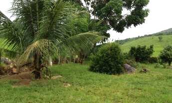 Imagem: Fazenda Pecuária Produtiva - Itapetinga