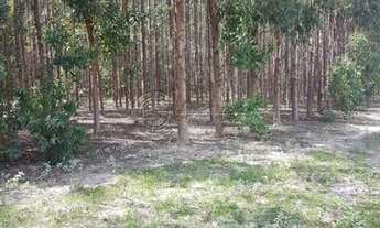 Imagem 4: Fazenda à venda no bairro Área Rural de Unaí - Unaí/MG