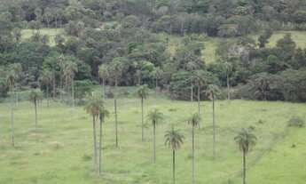 Imagem 6: Linda Fazendinha de 20 mil metros,Jaboticatubas (Temos varias opções)