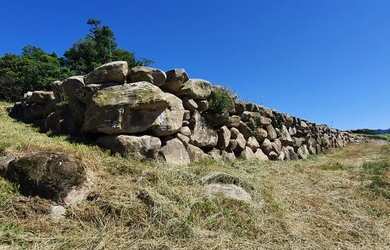 Imagem 4: Área de terras com 5,6 há, dos quais 4 há com videiras produtivas