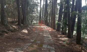 Imagem 6: Sitio em Jundiai no Bairro do Medeiros com área total de 26.000m2 com 100m2 de área constr