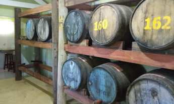 Imagem 6: Fantastica Chácara a venda em Pindamonhangaba-SP