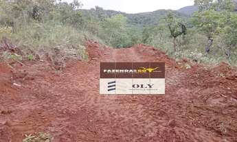 Imagem 4: Fazenda de Oportunidade ! Região de Goiás Velho ! 189 Alqueires !