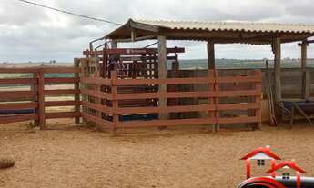 Imagem 6: Fazenda 82,28 Hectares Região Do Prata/MG