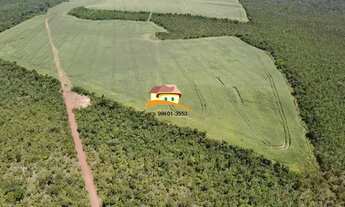 Imagem 2: Fazenda para Venda em Palmas, Área rural com expansão consolidada