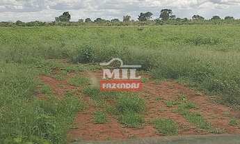 Imagem: Fazenda no Centro Sul do Tocantins. gt