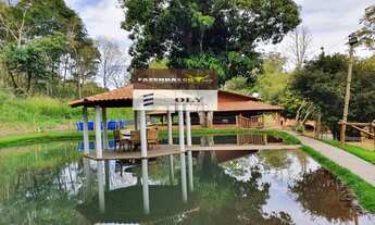 Imagem 3: Oportunidade ! Belíssima Chácara em Bela Vista ! 3 Alqueires !