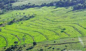 Imagem: FAZENDA MANGAL, Unai, Mg