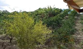 Imagem 5: Tanguá - Área Rural - Excelente para produção