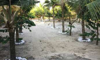 Imagem 7: Vendo ótimo sítio no Parque Araçagy - Área total com 6945 m² - São Luis - Ma