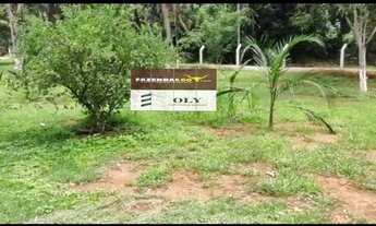 Imagem 4: Oportunidade ! Terra com 6 alqueires no município de Silvania !