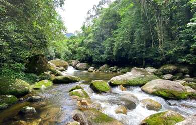 Imagem 6: Terreno à venda, 1092 m² por R$ 240.000,00 - Bonete - Ilhabela/SP
