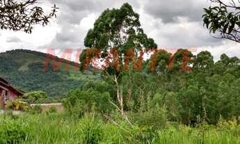 Imagem 6: Em Serra Da Cantareira