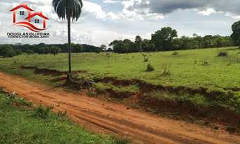 Imagem 3: Fazenda 295,24 Hectares Região De Campina Verde/MG