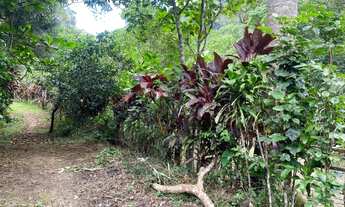 Imagem 5: Terreno à venda, 1092 m² por R$ 240.000,00 - Bonete - Ilhabela/SP