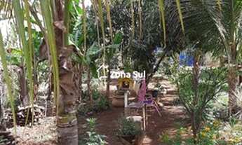 Imagem 5: Guapiaçu - Chácara - Bosque dos Ipes