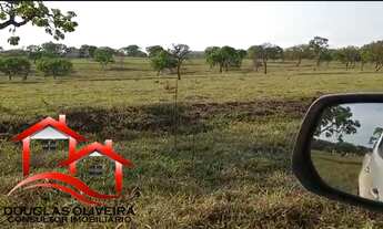 Imagem 3: Fazenda 82,28 Hectares Região Do Prata/MG