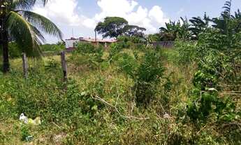 Imagem 4: Vendo 3 Terrenos Em Itamaracá