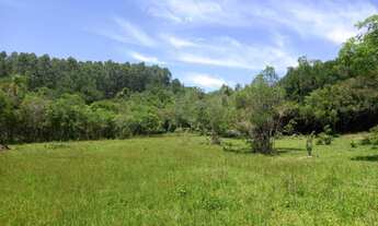 Imagem 2: Fazenda/Sítio/Chácara para venda com 170000 metros quadrados em Lomba Grande - Novo Hambur