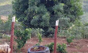 Imagem 6: Lindo sitio venda ou troca casa em M. Claros