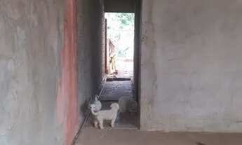 Imagem 3: Casa á venda, Várzea Grande - Bairro Jardim Imperial á 3km da Coca-cola