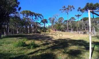 Imagem 7: Sítio no Rancho Jane em Canela!