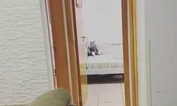 Imagem 5: Alugo apartamento semi mobiliado