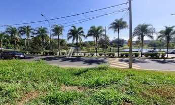 Imagem 3: Terreno - Swiss Park - Campinas