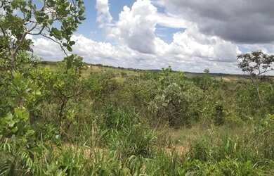 Imagem 5: A 2km do centro, terreno 5ha São Jose do Almeida