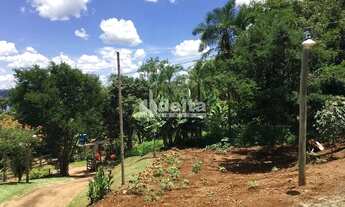 Imagem 6: Chácara à venda, 3 quartos, 1 suíte, 21 vagas, Área Rural de Uberlândia - Uberlândia/MG