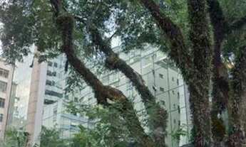 Imagem 2: COMERCIAL - JARDIM PAULISTA - SP