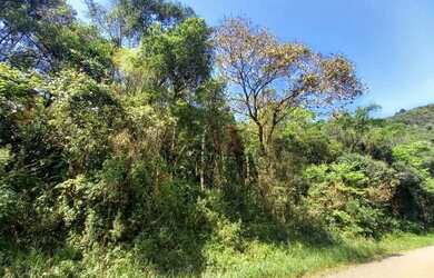 Imagem 4: Terreno na Linha Araripe em Gramado!