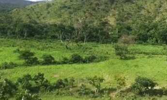 Imagem 4: . Uma Fazenda 400 Alqueires 80 km do município de Rosalândia Tocantins