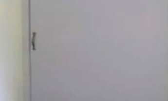 Imagem 3: APARTAMENTO - VILA MARIANA - SP