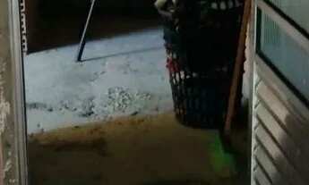 Imagem 6: Alugo casa Casa com 1 dormitório