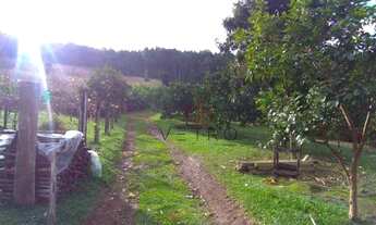 Imagem 3: Sítio no bairro Morro Calçado em Canela!