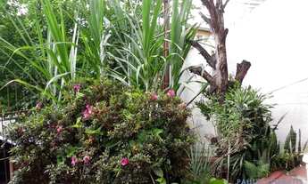 Imagem 2: CASA TÉRREA - ACLIMAÇÃO - SP