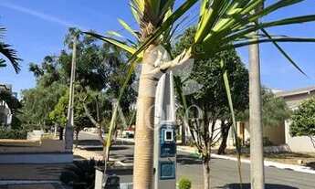 Imagem 4: VENDA de Ótima Casa, 3 Quartos sendo 1 Suíte Master, Cozinha Planejada, Área Gourmet Compl