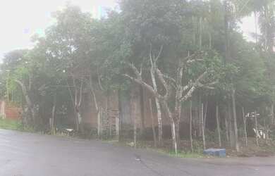 Imagem 6: Terreno com casa existente