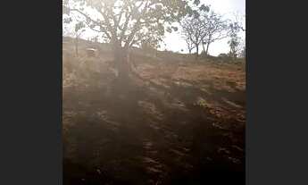 Imagem 7: Vendo chácara em Cromínia com escritura