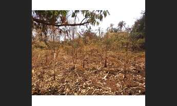 Imagem 2: Chácara em Rufinópolis