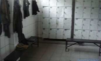 Imagem 6: GALPÃO - JARDIM ANDREA DEMARCHI - SP