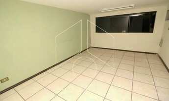 Imagem 4: Comercial Galpão/Barracão em Marília