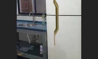 Imagem 2: Casa 1 quarto mobiliada