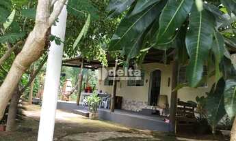 Imagem 2: Chácara à venda, 3 quartos, 1 suíte, 21 vagas, Área Rural de Uberlândia - Uberlândia/MG