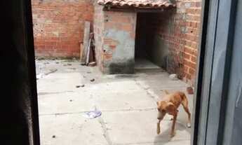 Imagem 5: Casa no bairro beira rio