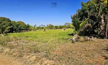 Imagem 6: Lote(chácara) condomínio fechado - Santa Maria-DF